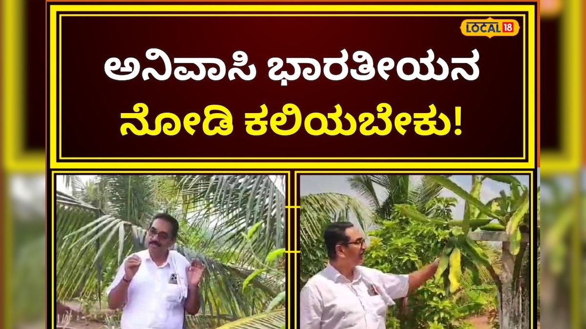Dakshina Kannada: ಅನಿವಾಸಿ ಭಾರತೀಯನ ಕೃಷಿ ಪ್ರೇಮ; ಬಂಜರು ಭೂಮಿಯಲ್ಲಿ ಬಂಗಾರದ ಕೃಷಿ | Non-Resident Indian Sudhir Kumar Shetty agriculture in Enmakaje village in Kasaragod